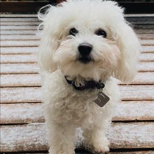 Meet your Posher, Sara